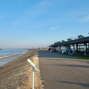 七草粥や春の七草でおなじみのセリ。
セリ鍋は仙台の冬の味覚です。
仙台セリと呼ばれるものは、8割が名取市産と言われています。川沿いに飲食店が並ぶ「かわてらす閖上（ゆりあげ）」では、新鮮なセリを使用したセリ鍋や、セリ入りラーメンが頂けます。


#宮城県