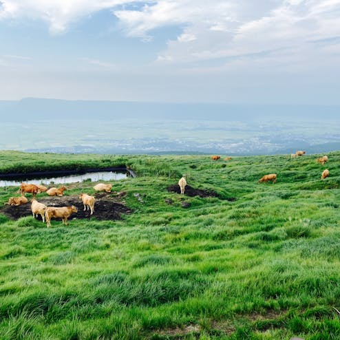 阿蘇パノラマライン