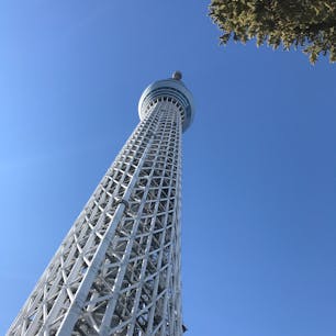 大都会を上から眺めてたら、ジオラマみたい。
上で飲むビールは最高すぎました◎是非。