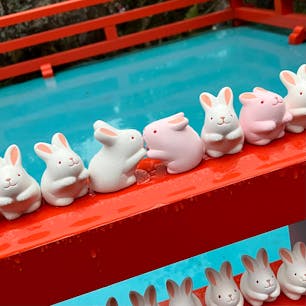 岡崎神社
雨の🐰