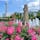 バラが美しい公園としても有名な横浜・山下公園。早く春が来て欲しいなぁ〜と思いながら、横浜散策してみませんか？

#横浜 #山下公園 #横浜マリンタワー #女神の像 #バラ #氷川丸 #サトホーク