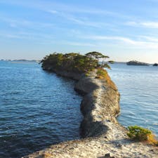 日本三景 松島からほど近い場所にある「馬の背」

崖を下るのが少々難関だけれど、その先には、こんな絶景が広がります。






#宮城県 #利府 #馬の背 #松島 #olive