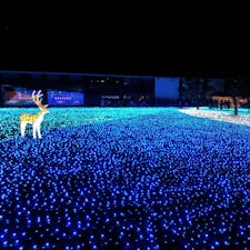 奈良の人気イルミネーションイベント「しあわせ回廊〜なら瑠璃絵」。青や緑に煌めく灯りや、ライトアップされた社寺を眺めながら歩くと、心が落ち着きます。
今年も2月に開催されるようです。開催期間が短いので、訪れる方は注意してください。あと、奈良の夜はかなり冷え込みます。