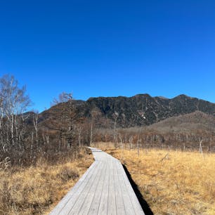 栃木　日光戦場ヶ原
道も整備されていて気軽にハイキングできます。湯滝は迫力あっておすすめです！