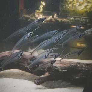 北海道修学旅行