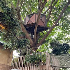 千葉で見つけたツリーハウス。ここでは気軽に飲食も楽しめます♪
人目が少ないスポットでお出かけしたい方はぜひチェックしてみてください！

#千葉 #椿森コムナ #ツリーハウス #森カフェ #ワッフル #レモネード #サトホーク