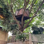 千葉で見つけたツリーハウス。ここでは気軽に飲食も楽しめます♪
人目が少ないスポットでお出かけしたい方はぜひチェックしてみてください！

#千葉 #椿森コムナ #ツリーハウス #森カフェ #ワッフル #レモネード #サトホーク