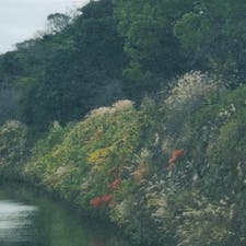 姫路城の石垣はナウシカみたい