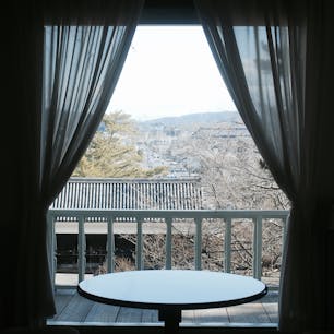 🌏島根県松江市
📍興雲閣

洋風建物から松江の街並みや松江城が見渡せる
とても好みな場所だった！