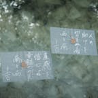 🌏島根県松江市
📍八重垣神社