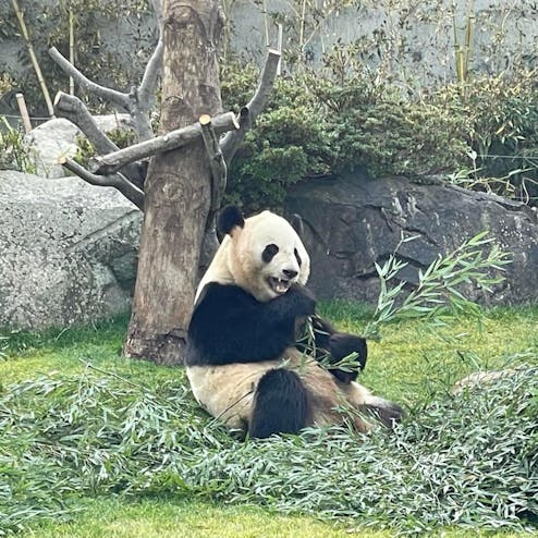 アドベンチャーワールド