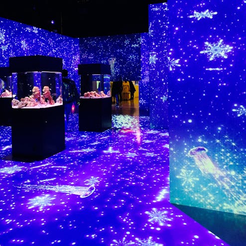 マクセル アクアパーク 品川