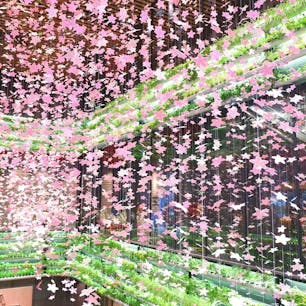 今年1月13日にリニューアルしてオープンした「YANMAR TOKYO」。
米づくりの仕組みを学べるほか、桜をイメージしたモニュメントやお米をテーマにしたレストランまで見どころ満載！
東京駅八重洲口から直結で行けるので、観光の行き帰りに立ち寄ってみてはいかがでしょうか？

#東京 #八重洲 #ヤンマー東京 #ヤンマー東京ビル #桜 #お米 #asterisco #リゾット #サトホーク