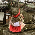 京都
北野天満宮
「合格！」
一月中旬、梅も少し咲いていましたが、受験生の皆さま、サクラサキますように^_^
