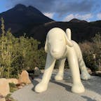 大分・湯布院で見つけた由布岳の眺望を楽しめる「COMICO ART MUSEUM YUFUIN」。
デザインを手がけたのは、建築家の隈研吾氏です。現代アートはもちろん、白い犬がアートを楽しみたいあなたをお迎えします！

#大分 #湯布院 #COMICO ART MUSEUM YUFUIN #白い犬 #由布岳 #隈研吾 #サトホーク