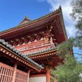 京都　大徳寺
京の冬の旅で　訪れました
特別公開の塔頭　芳春院など
いつもは入ることのできない
見ることのできない風景を
楽しんできました