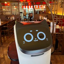 Chen Mapo Tofu Shinjuku Southern Terrace / Tokyo
陳麻婆豆腐 新宿サザンテラス店

四川省成都市に本店をもつ麻婆豆腐発祥の店「陳麻婆豆腐」の新宿サザンテラス店。なんと可愛らしいネコ型ロボット（CATBO36）が料理を運んでくれます！しゃべったり笑ったりする猫型配膳ロボットを見ていると、つい追加オーダーしてしまうかも♪

しびれるような辛さとさわやかな香りの「花椒」をたっぷりかけて食べる麻婆豆腐や、坦々麺などの本格四川料理を味わえます。何をオーダーしても美味しいですが、デザートにはお湯に入った黒胡麻餡の「成都伝統のデザート（520円）」は必食です！温かくてプルプルのお餅の中にはなめらかな胡麻餡がたっぷり入ってます。

#tokyo #shinjuku #shinjukurestaurant #CATBO36 #chenmapo_doufu