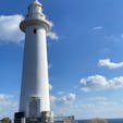 静岡県下田市にある爪木崎。

毎年12月20日頃から1月31日まで、
水仙祭りが行われます！
その水仙の数なんと300万本😳✨！
まるで離島に来たのかな？というような
透き通った海が広がっていて、
休日はもちろん平日にも各地
色々なところから観光客の方が
いらっしゃいます✨

青く広がる空と海に、白い水仙と
赤いアロエがマッチしてとても素敵ですよね✨

心が癒されるそんな景色に是非是非、
足を運んでみてはいかがでしょうか💡
