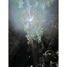 ガンガラーの谷。
ふと訪れた大自然の観光スポット。
数十万年前の鍾乳洞が崩れて出来た谷は迫力満点でした。
メインのガジュマルは圧倒的な存在感。
これから沢山幸せがありますように。