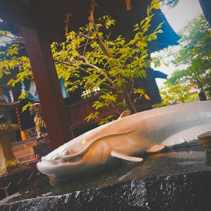 2017.08.18
佐賀家族旅🏺豊玉姫神社

#佐賀 #豊玉姫神社 #なまず