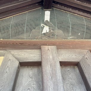 猿が辻　京都御所

北東（丑寅うしとら）は鬼門の方位であり、十二支においてはその反対が未申(ひつじさる)であることから、猿の木像を鬼門除けとして築地塀(つじべい)の軒下に安置して祀ったのが通称の由来であるという説のほか、御所を守護する日吉神社の神使が猿だったことから「猿ヶ辻」と呼ばれるようになったとする記述もある。角欠けとも呼ばれる。

「猿ヶ辻」の部分の塀は、敷地内へへこんだ形に造られていることから、「御所が鬼門を避けている」「除けている」と考えられ、それが後世まで鬼門を除ける手法とされてきた。

#サント船長の写真　#京都御所