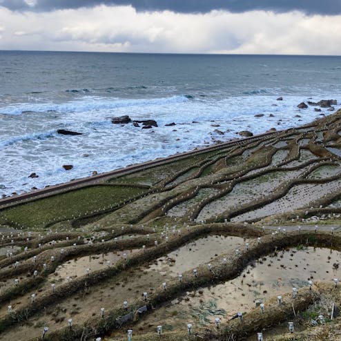 白米千枚田