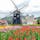 またいつか行きたい！光と花の王国、ハウステンボス。
チューリップはもちろん、オランダの街並みやイルミネーションも楽しめますよ♪

#長崎 #佐世保 #ハウステンボス #チューリップ #風車 #イルミネーション #サトホーク
