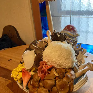 創士庵
美味しいキノコ料理🍄
珍しいキノコも食べれます