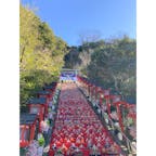 勝浦【遠見岬神社】

4年ぶりに開催された「勝浦ビックひな祭り」に行ってきました♪
街のあちこちに雛人形あり、歩いているだけでもとても楽しかったです‼️

特に、遠見岬神社の富咲の石段に飾られた雛人形は圧巻でした♪