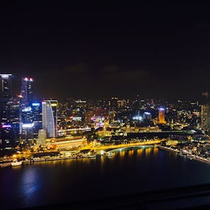 シンガポール
マリーナベイサンズ  プールからの夜景