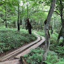 湯滝から竜頭の滝に向かうハイキングコース