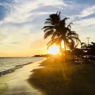 ハワイ🌺アラモアナ公園
絶景。
大自然はすごい。