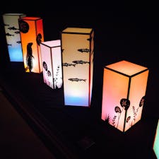 和とアートのコラボレーション💓

#和のあかり #ホテル雅叙園東京 #アートイルミネーション #百段階段 #目黒 #文化財