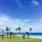 七里御浜/三重
海外に来たみたい✨🐢