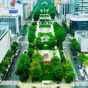 さっぽろテレビ塔から👀
天気良ければもっと綺麗なはず！
#北海道 #札幌 #大通公園