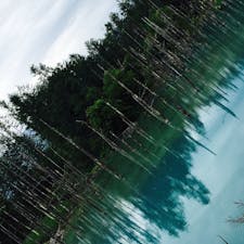 北海道 函館〜旭川
#青い池
#あいにくの曇り空
#それでもすごく青かった