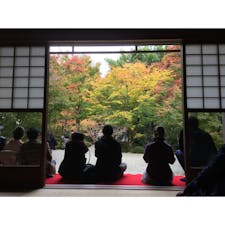 2018/11/17
圓光寺
@京都府