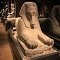 エジプト博物館 (Museo Egizio)

世界で2番目の規模のエジプト博物館。
個人的にはトリノ王宮やマダマ宮殿よりオススメ