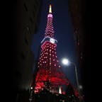 桜色にライトアップされた東京タワー
インフィニティ・ダイヤモンドヴェール
『GUCCI HANAMI 特別ライトアップ』

2021年から毎年行われている東京タワーのGUCCHI HANAMIライトアップ！南面の窓にだけGUCCIのロゴが点灯されています。桜色バージョンと、赤＆緑バージョンが時間によって交互に点灯。この特別ライトアップが次に予定されているのは3月21日(火・祝)のみ！東京タワーのオフィシャルサイトのライトアップページに、毎日のライトアップ予定が公開されていますので気になる方はチェックしてみてくださいね。

また3月31日まで、グッチの特別サイトで「期間限定ARフォトフレーム」が公開されているので、幻想的な桜のフォトフレーム付きで撮影を楽しめます♪
https://guccihanami.gucci.com/

#tokyo #tokyosightseeing #tokyotower #GucchiHanami #GucciLuckyDay #bluemoon