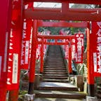 2023.3.9（木）鎌倉日帰り
佐助稲荷神社

連続する朱塗りの鳥居が見事です
