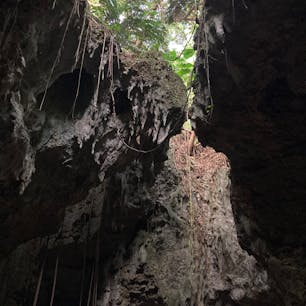 1人で入って行くのにちょっとドキドキした。謎の南国鳥の声…20メートルほど降りたらしい。帰りにストップウォッチセットしてみたら約２分の道のりでした。
靴（運動靴）必須