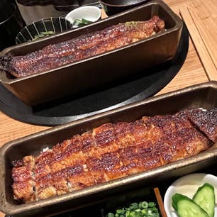 うなぎ四代目菊川 羽田エアポートガーデン店（羽田空港第三ターミナル）/ Tokyo

90年続くうなぎ卸問屋が運営する「うなぎ四代目菊川」が、羽田エアポートガーデンのHaneda Food Selection（ハネダフードセレクション）1Fにオープン！

焼かれたうなぎの香ばしい香りが立ち込める、落ち着いた雰囲気の店内。席からはライブキッチンも見えるので、うなぎを捌いたり焼いている光景も楽しめます。
名物「一本うなぎ」の長〜い専用器は、信楽焼窯元で特注している保温性が優れた器だとか。うなぎにかける山椒も、香りの粉山椒と、辛みの強いミル挽き実山椒の2種類用意されています。

空旅の前後に、“パリッ・ふわっ・とろっ”の食感に焼き上げられた絶品「一本鰻」を是非ご堪能ください♪ここの鰻はボリュームもあって本当に美味しいのでお値段の価値はあると思います！

●蒲焼一本重 5,280円
●一本ひつまぶし 5,480円

#tokyo #tokyorestaurant #tokyosightseeing #yondaime.kikukawa.official #yondaimekikukawa #hanedaairportgarden #bluemoon