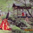 京都城南宮の梅林　
此処の庭園の梅は一言、天国の花園がこんな感じかなぁ(汗)

#サント船長の写真#城南宮#梅林