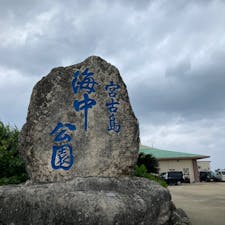 大荒れの宮古島。海が荒れていると海中も白く濁り、お魚さんもよく見えないそう。それでも入ってみました。はい！見えませんでした😂
白地に黒いしましまちゃんが数匹流されておりました。