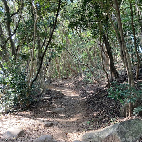 芥屋の大門公園