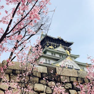 大阪

大阪城と桜
大阪城と梅