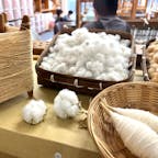 真岡市の木綿会館では、真岡木綿の工程見学ができます。

事前予約をすれば、機織りや染色の体験もできます。



#真岡木綿会館 #真岡市 #olive