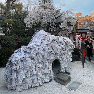 安井金比羅宮
ここ好きなんですよね。
春に来てもやっぱりよかった🌸