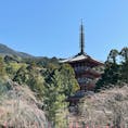 京都　醍醐寺
西国三十三所巡り　十一番札所
京の冬の旅　2023
三宝院　
桜の花見の季節になりました
3/14 訪れた時は
まだ咲いていませんでしたが
そろそろ　見頃でしょうか