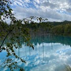 北海道(Hokkaido)
1.白金青い池
2.旭山動物園
3.四季彩の丘